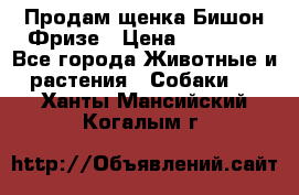 Продам щенка Бишон Фризе › Цена ­ 30 000 - Все города Животные и растения » Собаки   . Ханты-Мансийский,Когалым г.